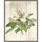 Magnolia de Printemps Flower by Sue Schlabach 16-in. W x 20-in. H. Canvas Wall Art Print Framed in Grey